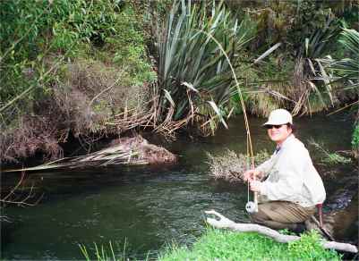 Angling report March 2002 Kingfisher Lodge fly fishing reports Lake Brunner